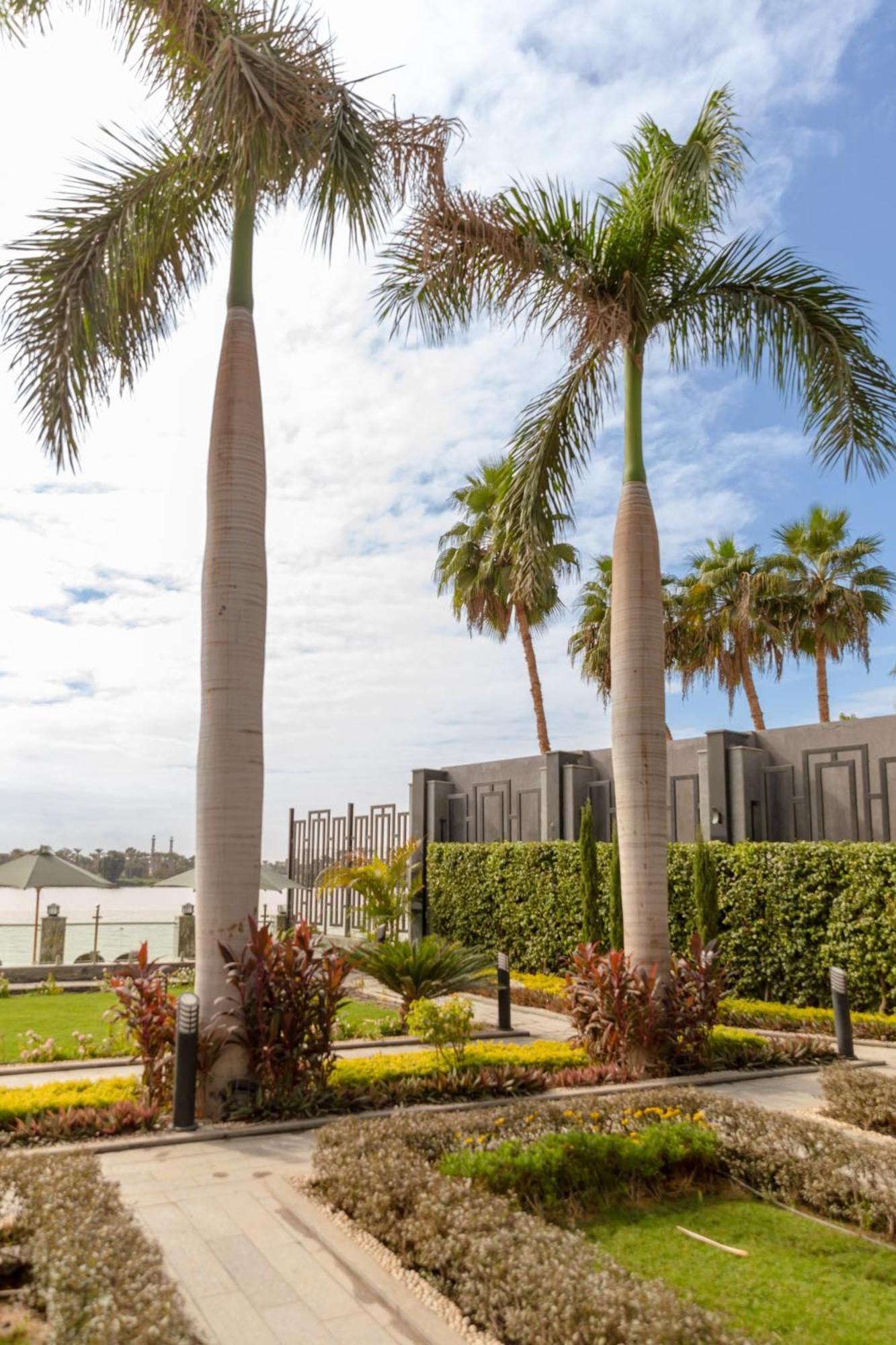 Nile Club Hotel Каир Экстерьер фото